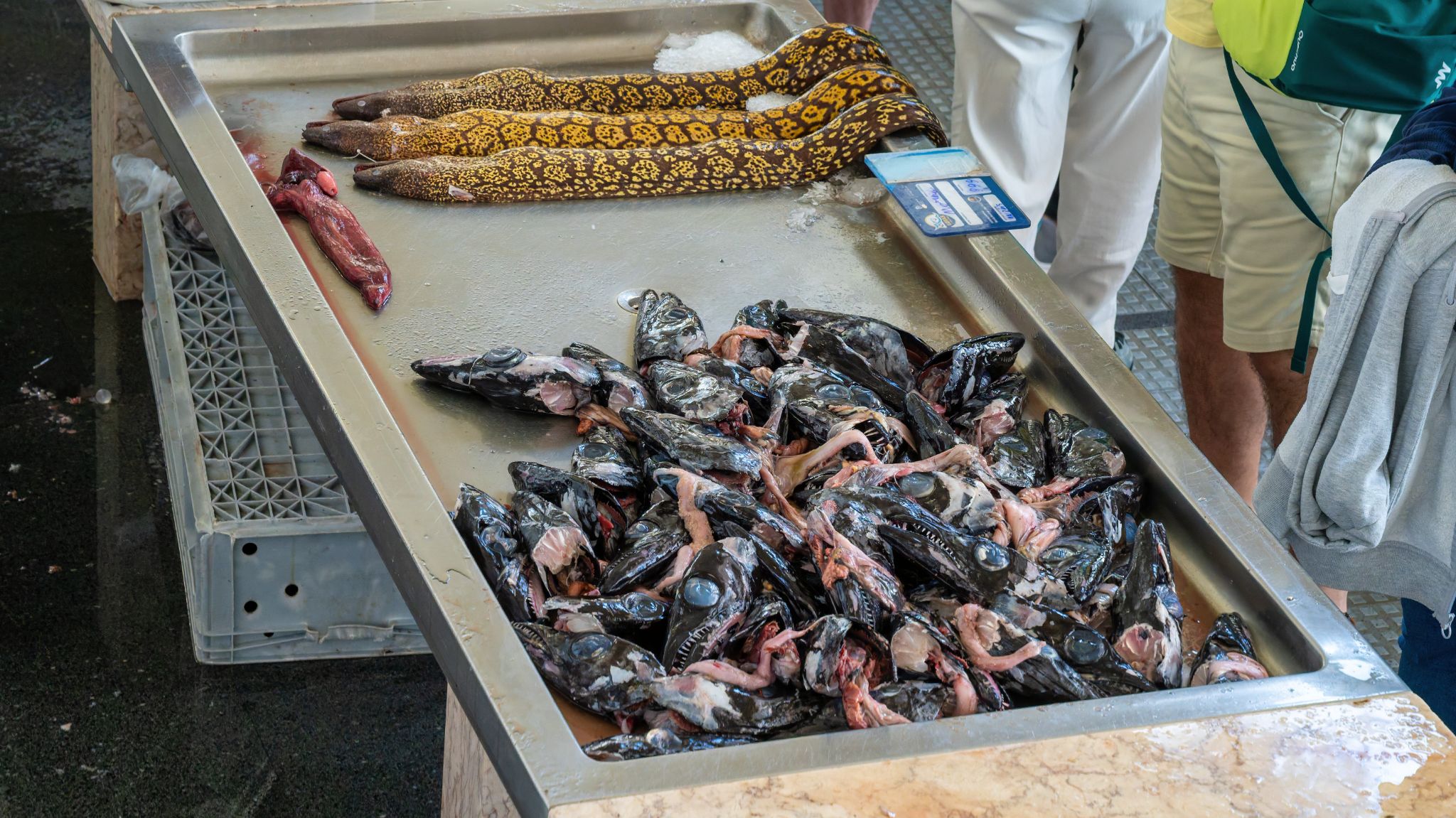 Der Schwarze Degenfisch ist der typischste Fisch auf Madeira, wo er einfach „Espada“ oder „Espada Preta“ genannt wird.